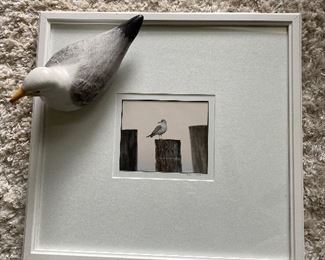 Framed photo of sea gull, wooden sea gull