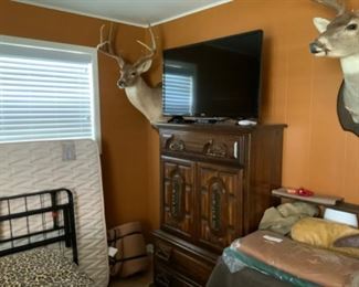 Another Whitetail Deer Mount & Sanyo Flat Screen TV