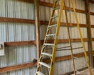 Werner 12 Step Ladder