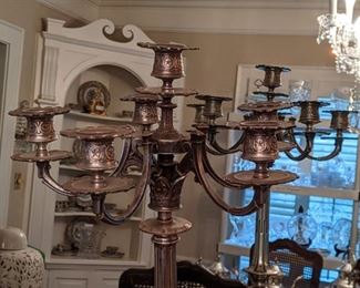 Everyone needs a good top and here it is - 6 lights to please everyone!