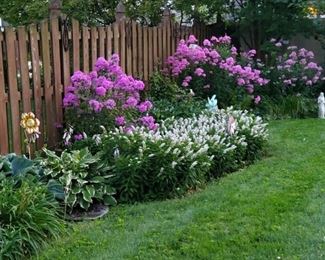 Selling all perennials (in bloom earlier)