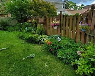 Perennials when in bloom earlier