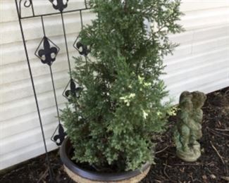 Lots of planters & stands