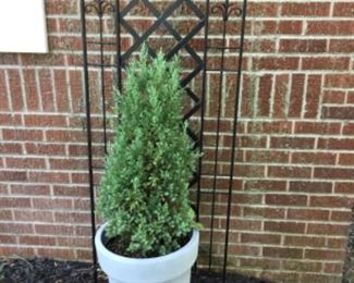 Lots of planters & stands