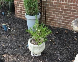 Concrete planter plus Lots of planters & stands