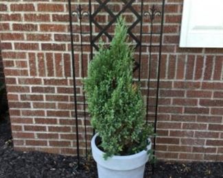 Lots of planters & stands