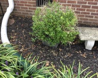 Lots of planters & stands