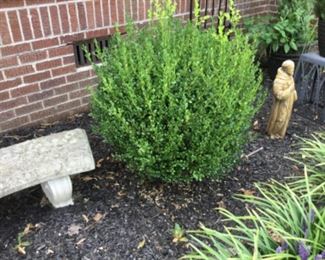 Lots of planters & stands