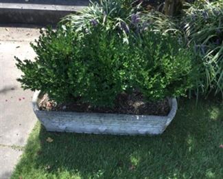 Large concrete planter 