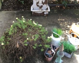 Lots of planters & stands