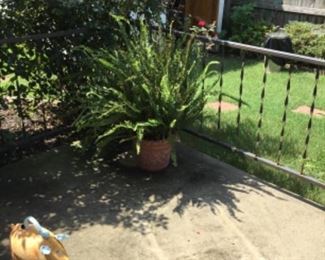 Lots of planters & stands