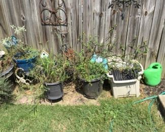 Lots of planters & stands