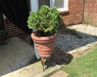 Lots of planters & stands