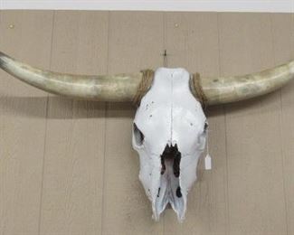 Skull & Horns