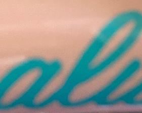 Ladies Ozone 500 Mailbu 26" Cruiser & USA Stabilizer Training Wheels