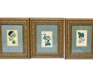 Set of Three (3) Botanical Prints