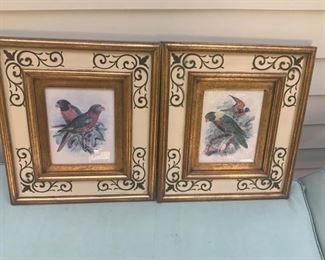 Birds of Paradise Art