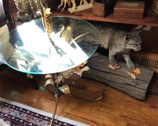 Taxidermy and decor 