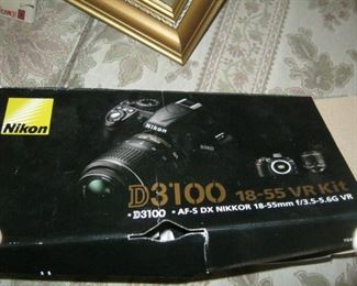 Nikon D3100 purchased in 2011