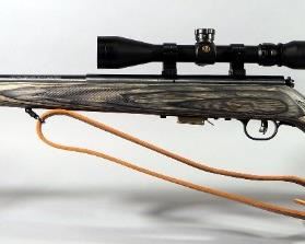 Savage Model 93R17 .17 HMR Bolt Action Rifle SN# 1077431, With Pine Ridge 17-3-9x40 Rifle Scope, 2 Total Mags, Leather Sling, Paperwork, In Hard Case