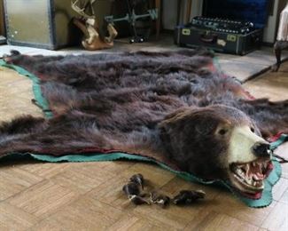 Large bear rug