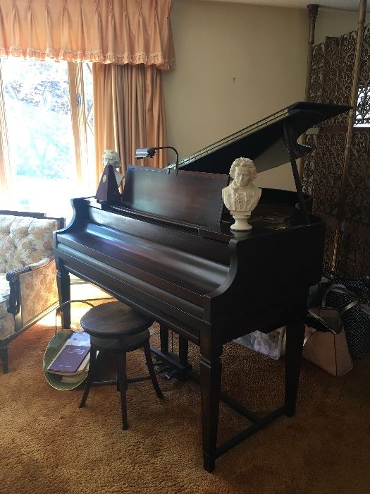 Amipico Baby Grand Piano-also is a player piano with rolls