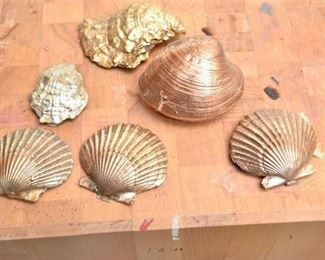 85. Group Lot Of Shells