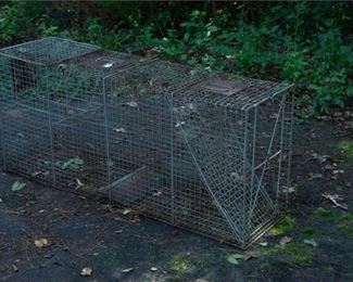 325. Metal Animal Trap