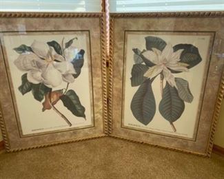 245 Framed Floral Prints Magnolias