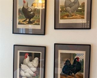 Set of 4 chicken prints