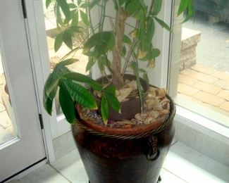 Large planter with plant.