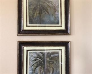 Palm tree pictures 