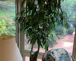 #12	Tall Fake Tree in Pot - Heavy   6' Tall	 $20.00 	 call 256-603-4198 
