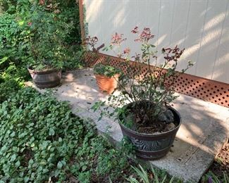 plastic pots that look like wood barrels 3@ $30 ea 