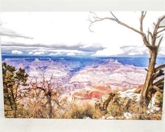 206	

Grand Canyon Photo By Bernie Feurer
On A Metal Sheet Measures Approx: 30" x 20"