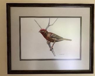 40. Original water color by R. Sadler of red headed bird $65