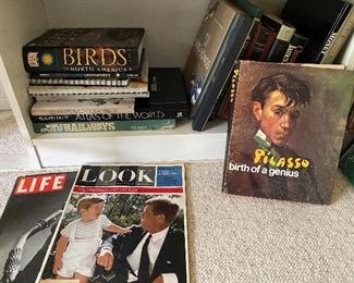 61. Kennedy mags, Picasso and bird books shelf $35