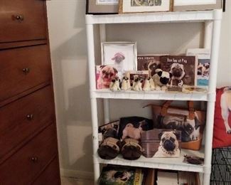 Pugs, lots and lots of Pugs