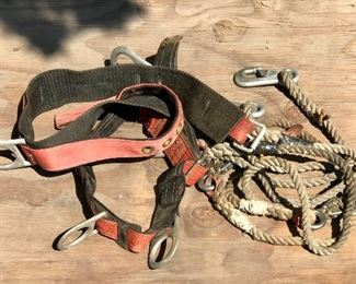 Tree climbing belt and rope