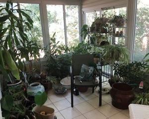 A whole sunroom full of plants, pots, staturary, outdoor chairs, bakers rack