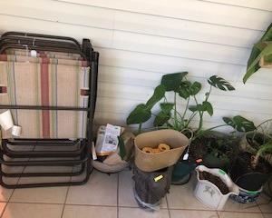 Folding canvas chairs, plants, plant stands and pots, solar fountain (next to chairs) still in original packaging and never assembled