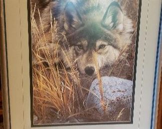 Framed "Wolf" print
