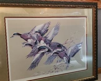 Framed print by Art Lamay ""Wigeon Impact"