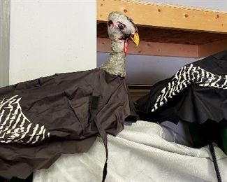 Turkey decoys