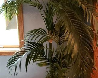 "Silk" palm in large pot