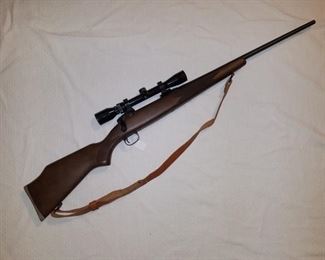 Savage Model 110 .30-06 bolt-action rifle with scope