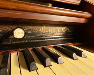 Great Western Organ Co. Organ