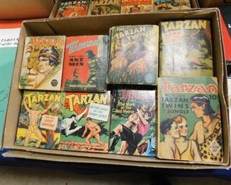 Tarzan little big books