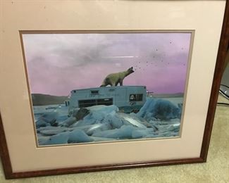 polar bear photo