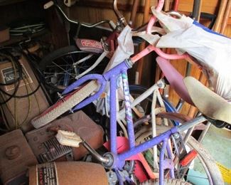 ... the following pictures